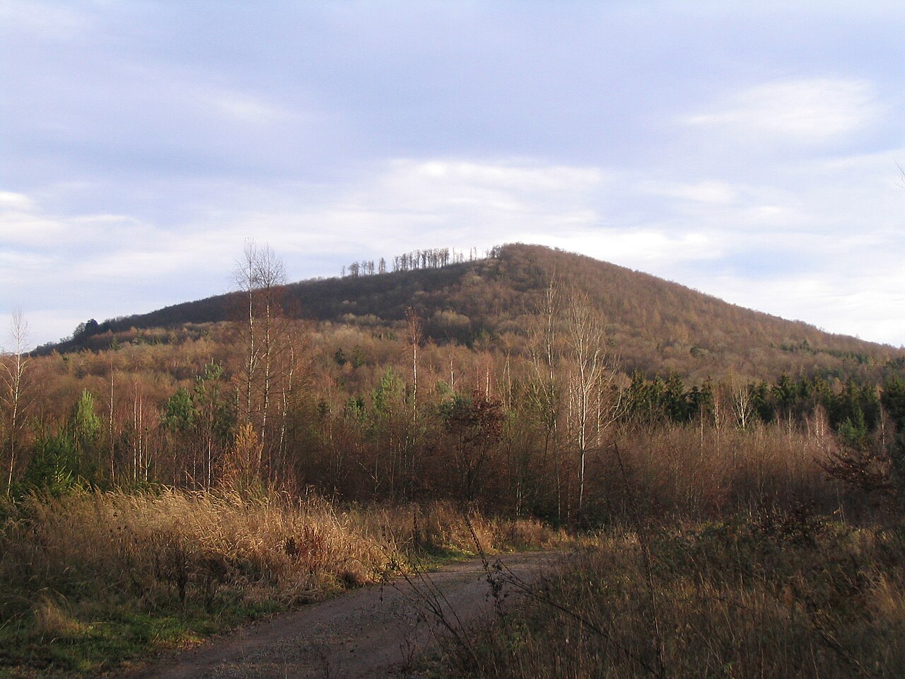 Foto von Dreistelzkopf