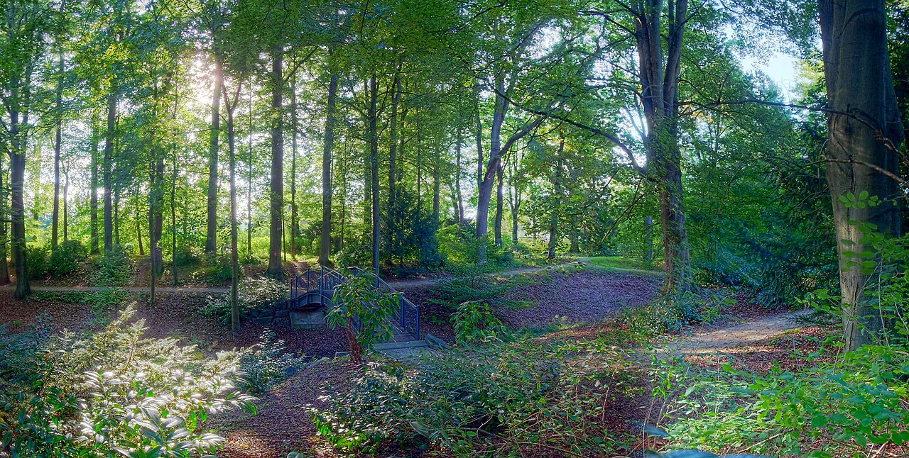 Forest with a little bridge in de:Dreslers Park at Kreuztal (Germany)