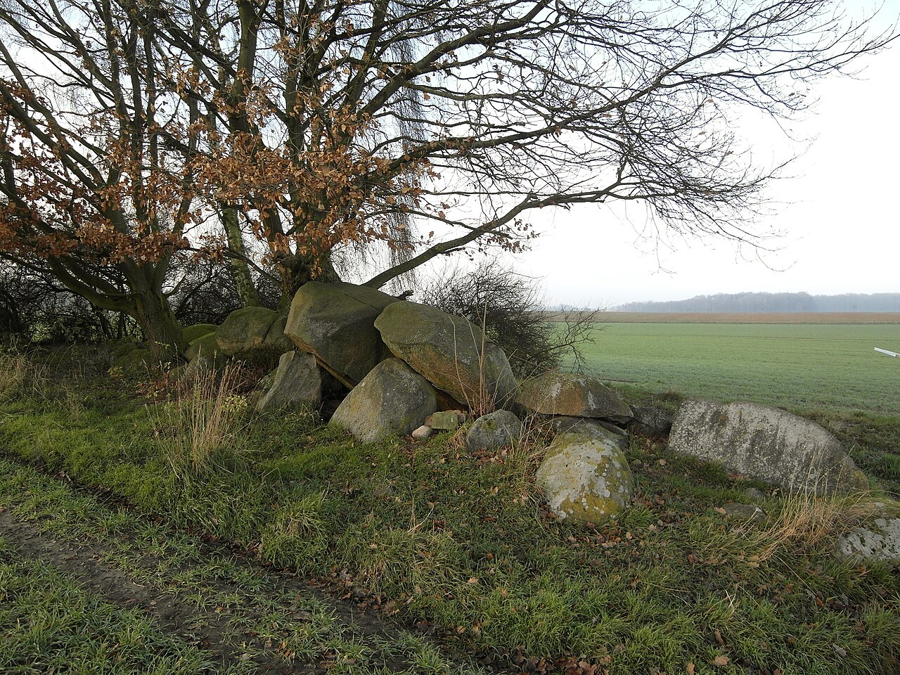 Megalithic tomb "Driehauser Steine" (or: Schwagstorf I)