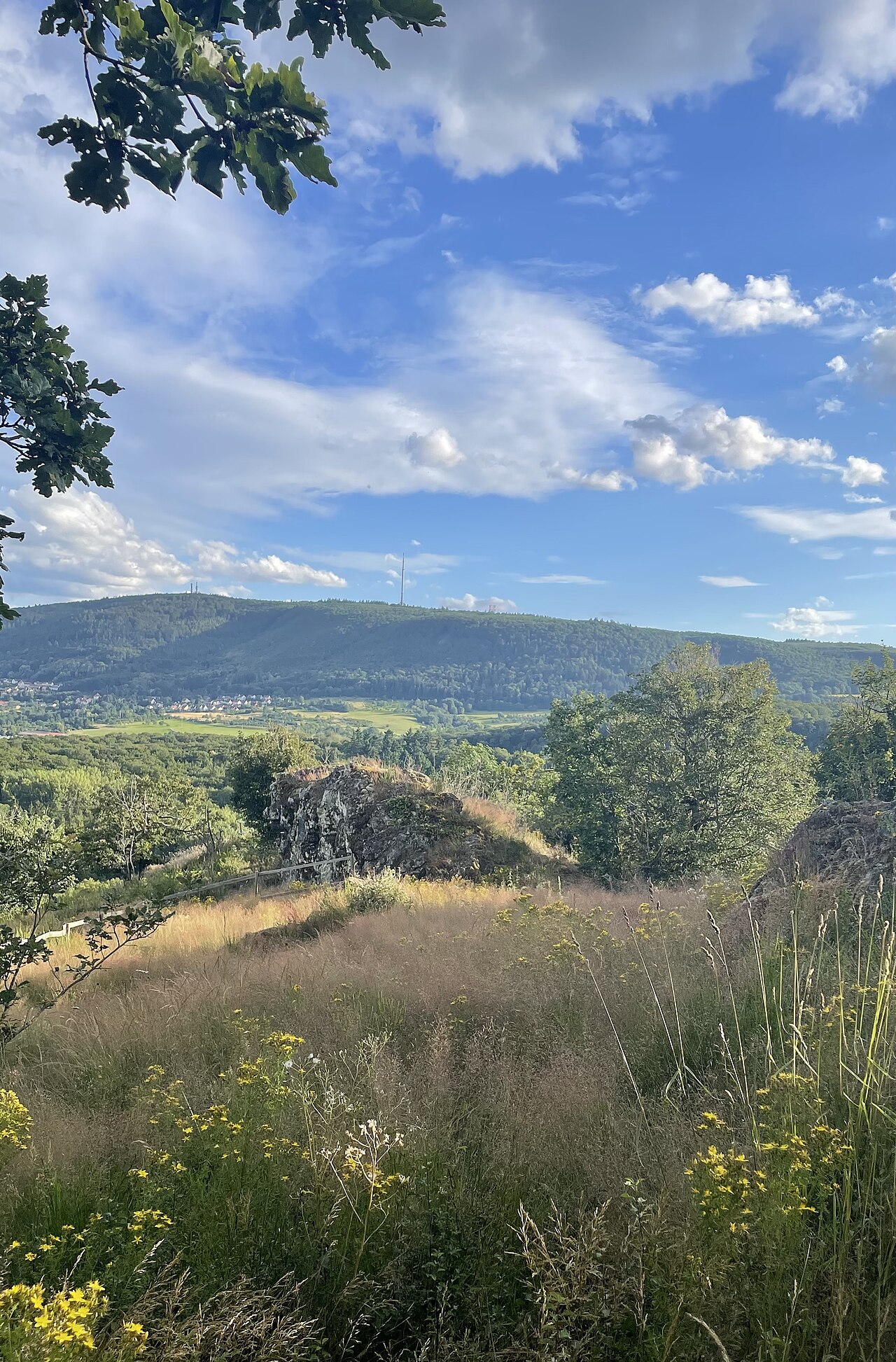 Schwarzfels, Kirchheimbolanden, Rheinland-Pfalz, Deutschland