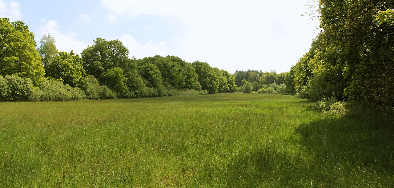 Naturschutzgebiet „Düllhamm“ in Bremerhaven