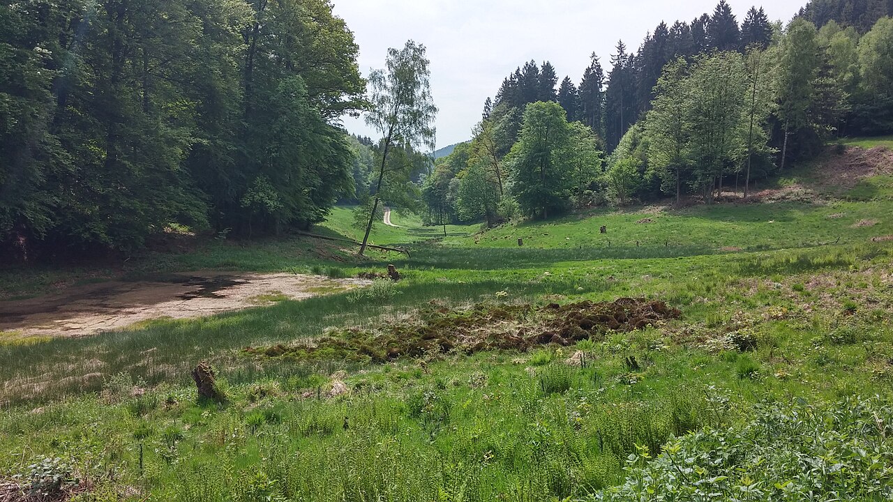 Talblick im Naturschutzgebiet „Dürr-Ellenbachtal von Wald-Michelbach“ (NSG 1431019)