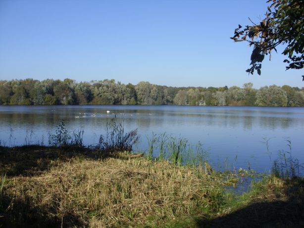 Dunger See, Naturschutzgebiet