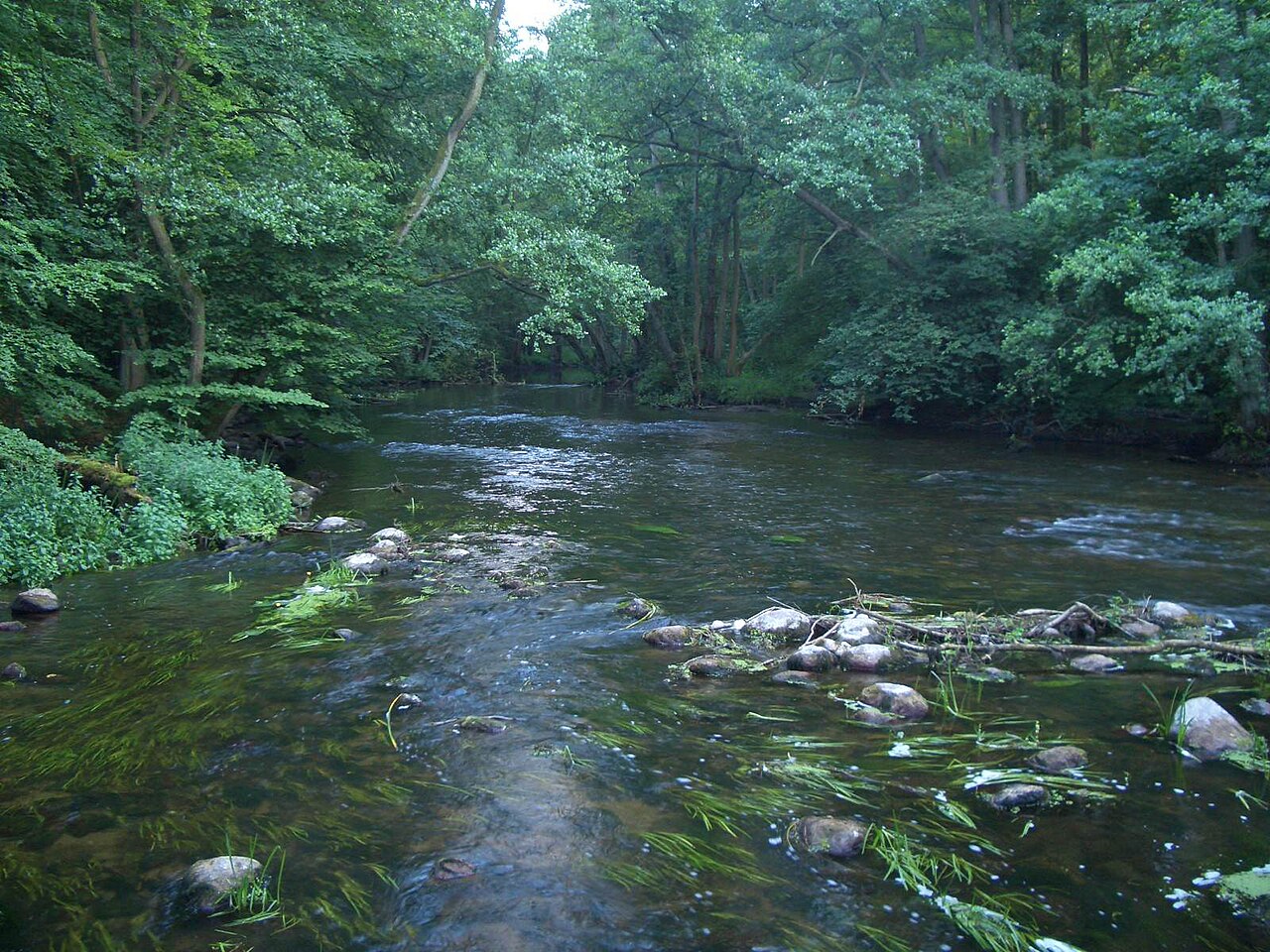 Naturschutzgebiet Durchbruchstal der Warnow und Mildenitz