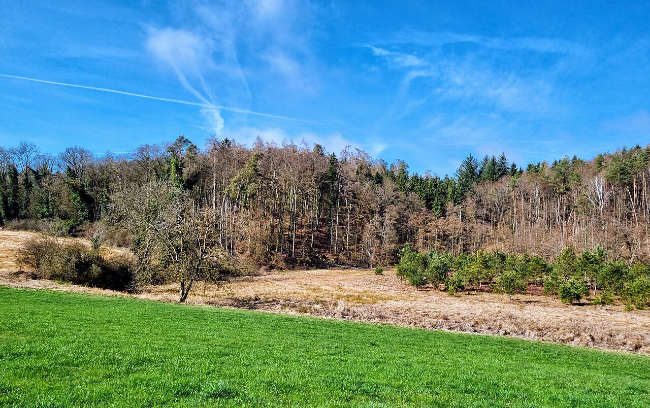 Foto von Durchenbergried