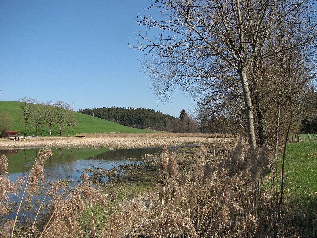 Germany - Baden-Württemberg - Bodenseekreis/district Ravensburg - Neukirch/Amtzell: nature reserve 'Ebersberger Weiher'