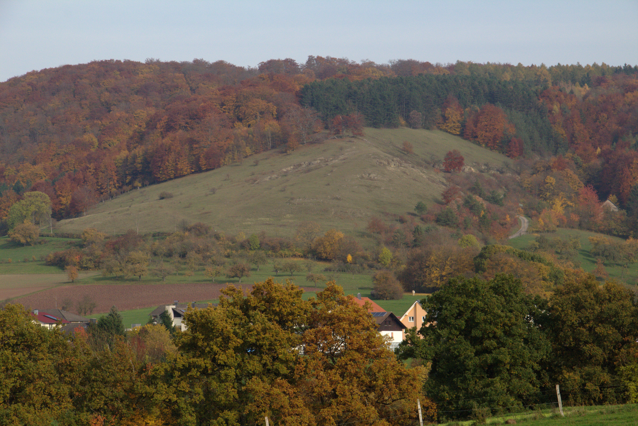 "Ebertsberg bei Elm" near Elm, Site of Community Importance, Schluechtern, Hesse, Germany