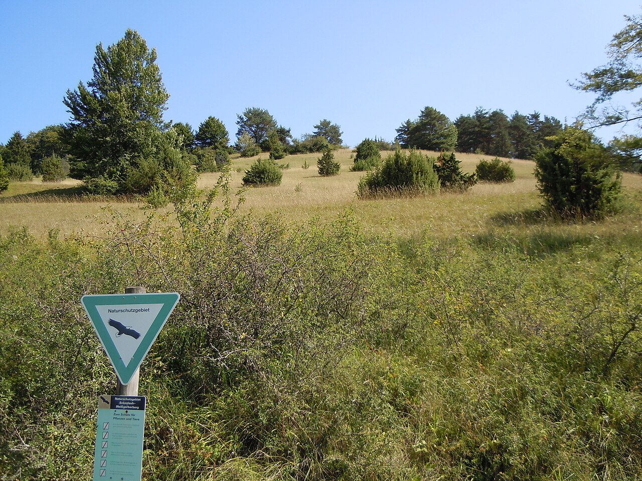 Naturschutzgebiet "Eckenlauh-Weißgerbergberg" (Schutzgebiets-Nr