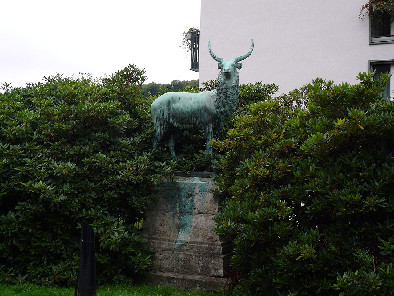 Foto von Edelhirsch