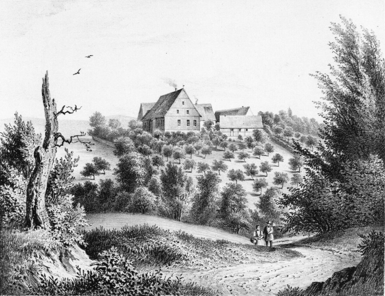manor de:Edelhof Alberoda in its estate of 1859