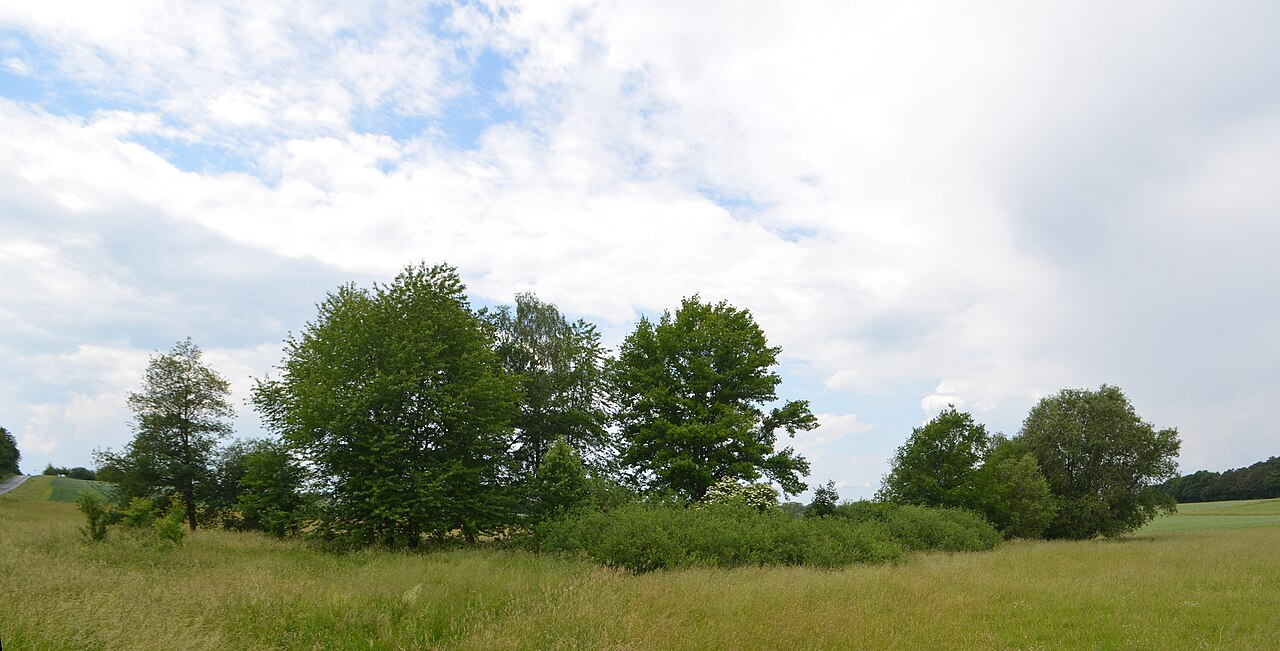 NSG Egelpfuhl bei Oberwetz