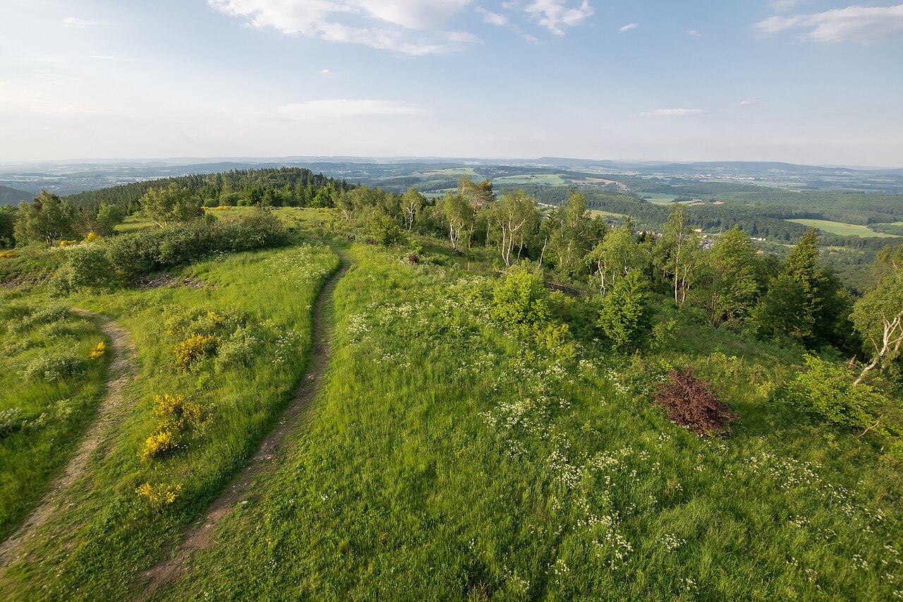 Aussicht vom Eggeturm auf der Preußlichen Velmerstot