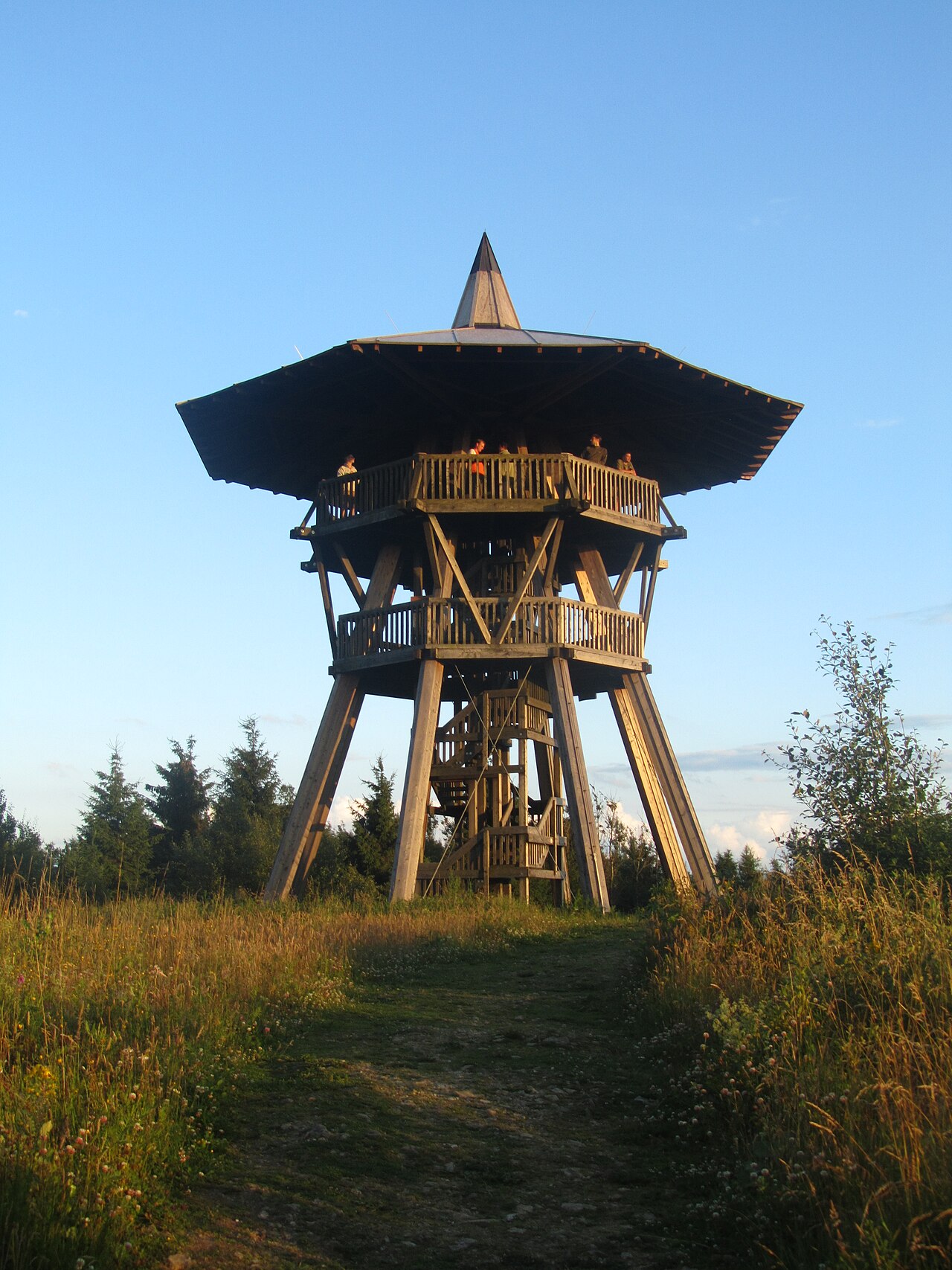 Der Eggeturm auf dem Velmerstot (468 m) im Eggegebirge nach der Renovierung im Jahr 2010