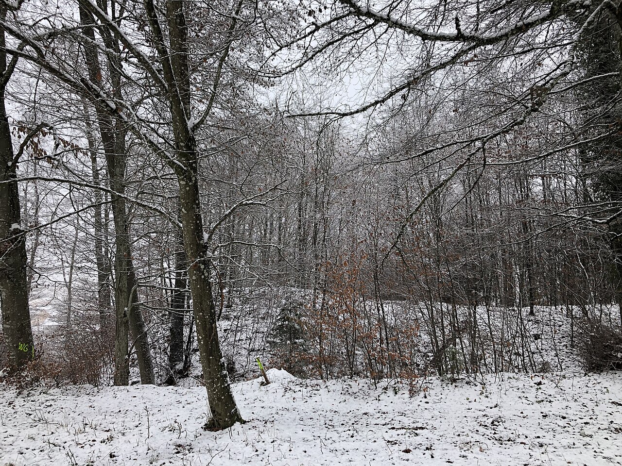 Burgstall der abgegangenen Burg Auernheim, Auernheim (Nattheim), Landkreis Heidenheim, Baden-Württemberg, Deutschland