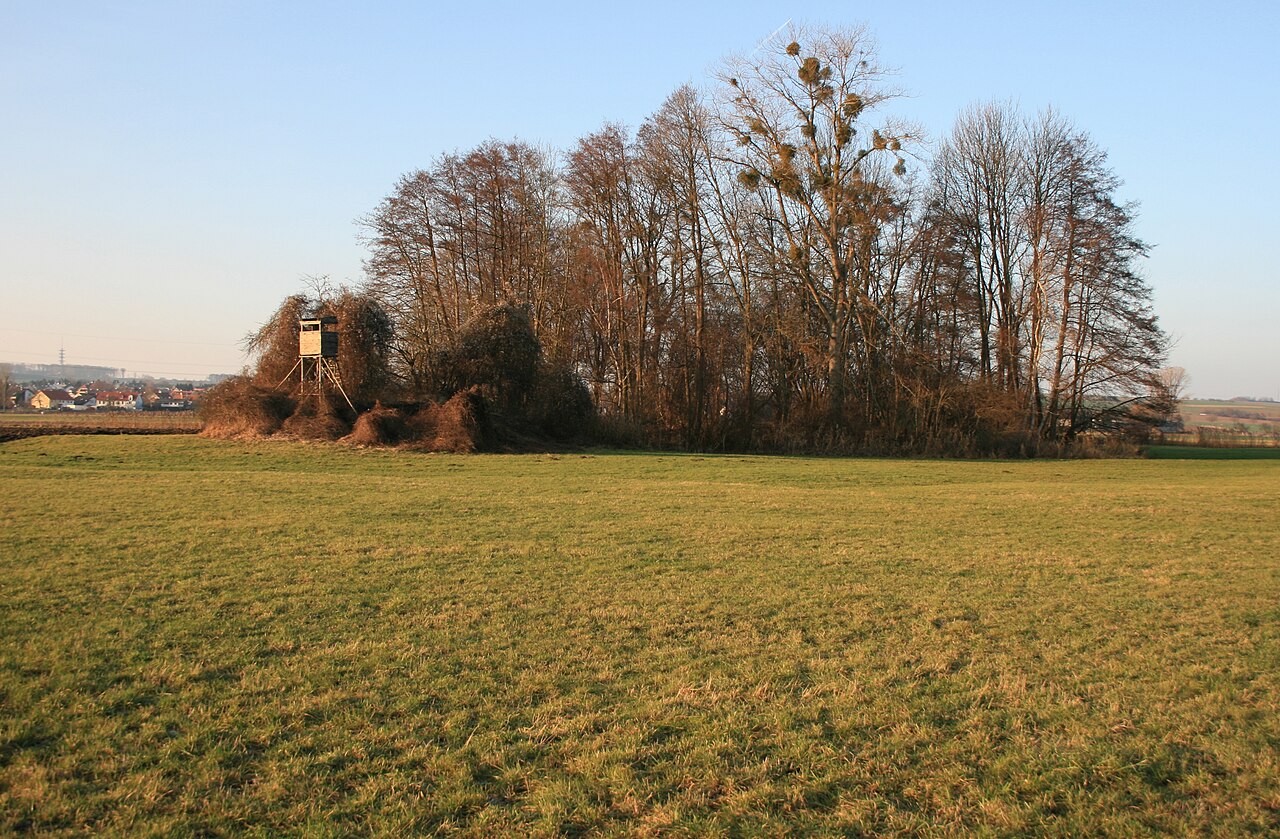 Castle Wachenbuchen, Maintal-Wachenbuchen, Hesse, View from Southeast