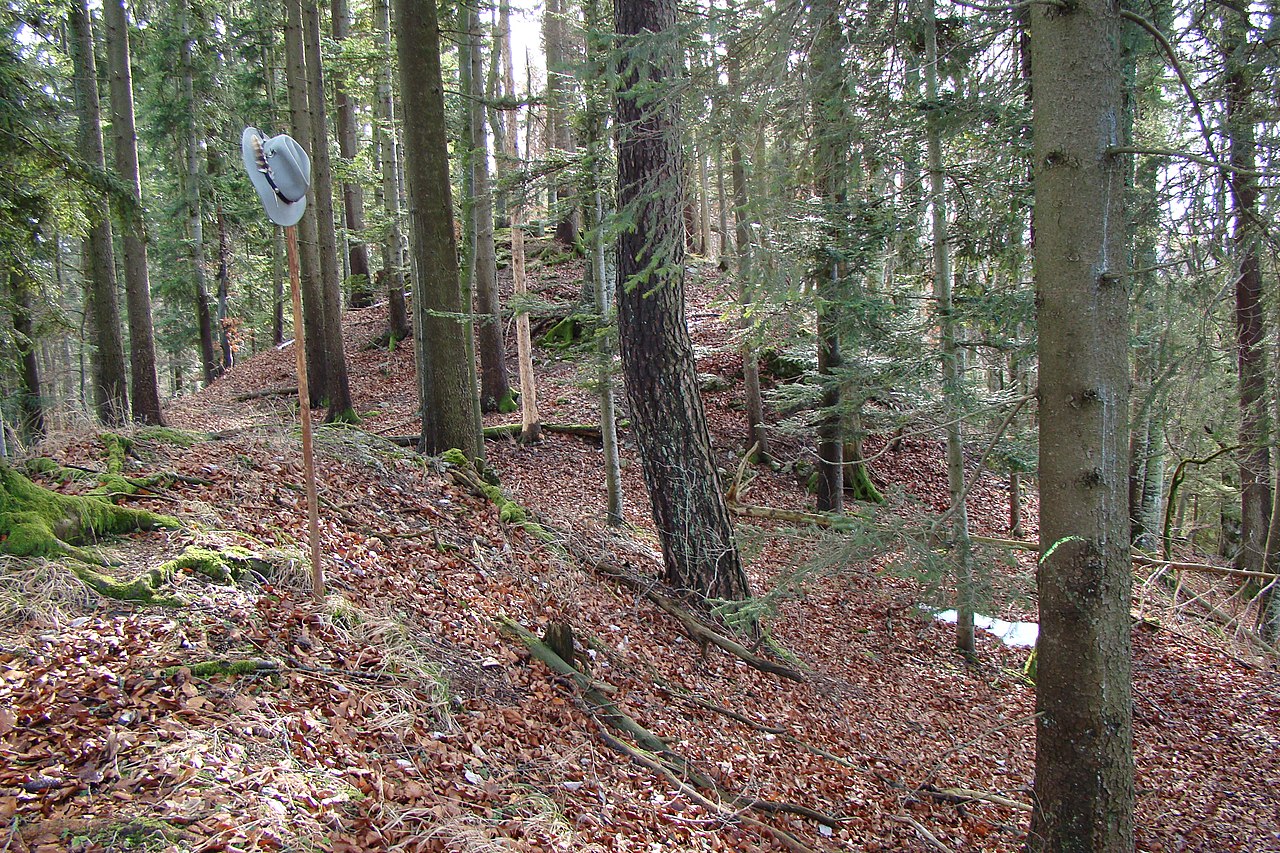 Burgfläche in Richtung Süden