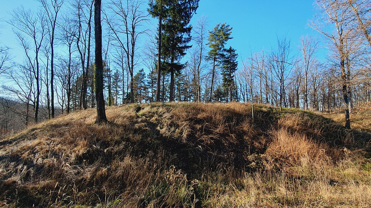 Medieval motte
