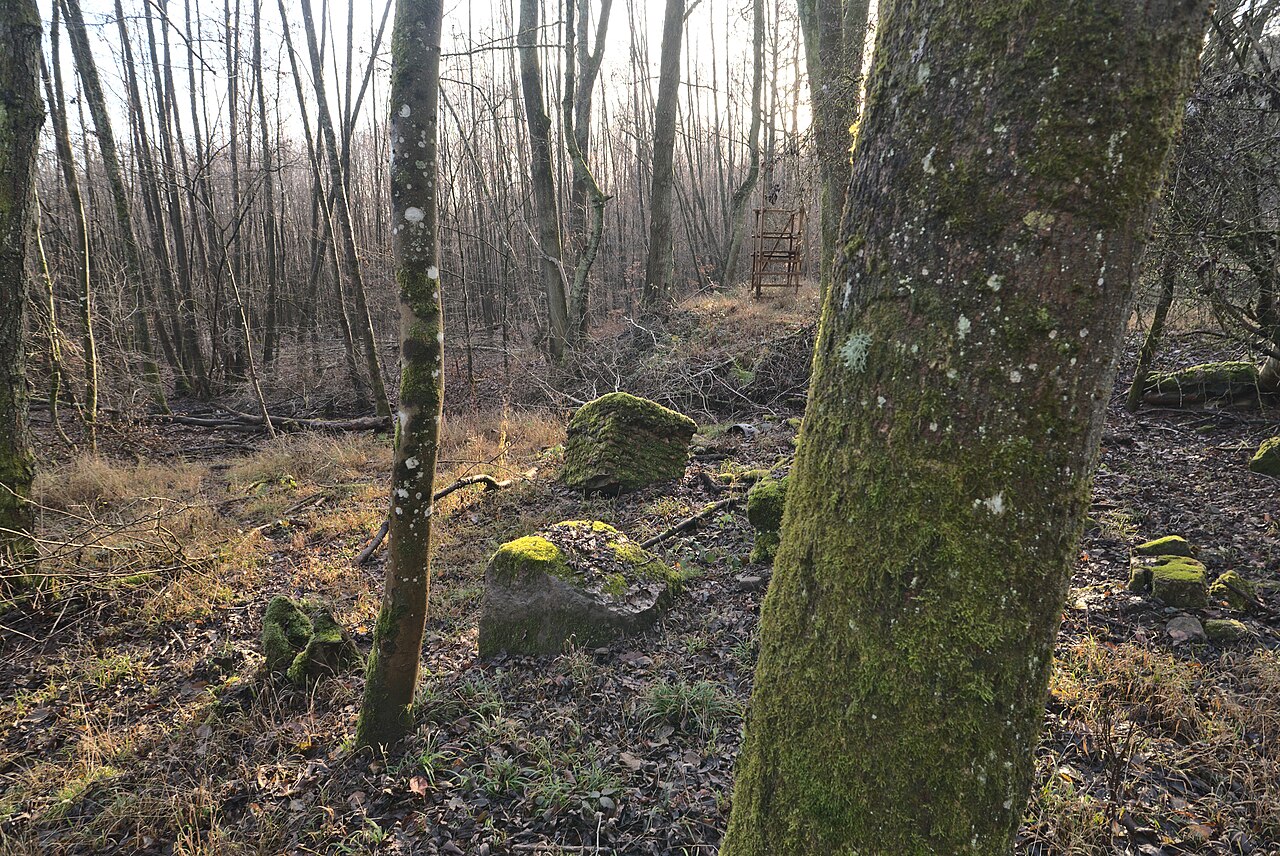 Ruinen des ehemaligen Holzer Freibads