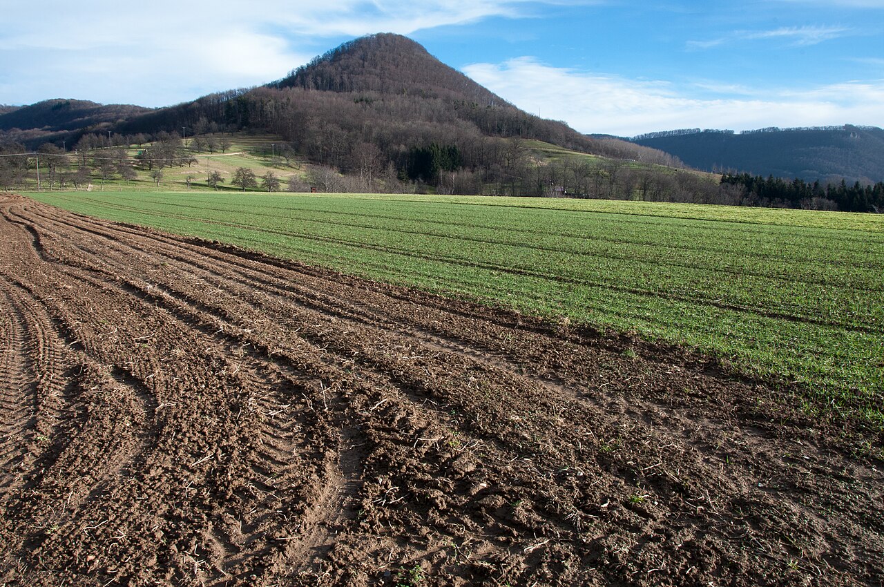 Oberhalb des Neidlinger Tals ist dem Erkenberg eine Hochfläche vorgelagert, die landwirtschaftlich genutzt wird