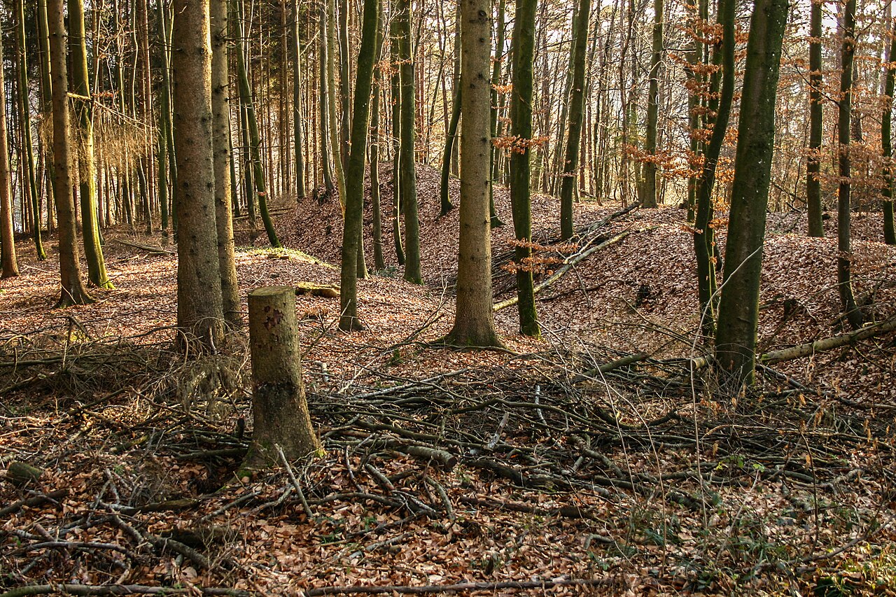 Earthworks Drackenstein , near Tettnang-Laimnau, county Bodenseekreis, Germany
