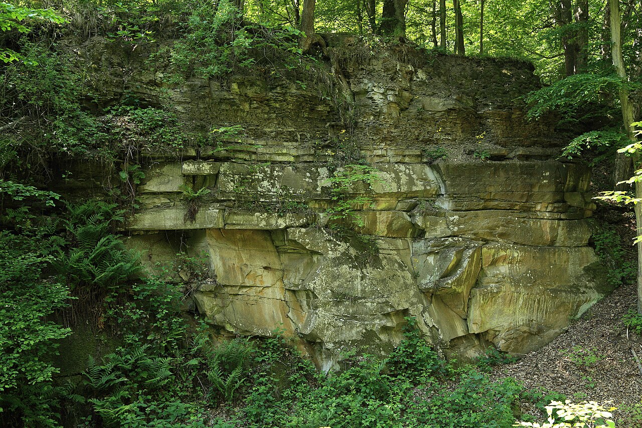 Ehemaliger Sandsteinbruch W von Hoechberg Bayerns schönste Geotope Nr