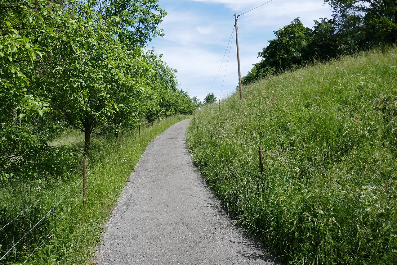 Naturschutzgebiet „Ehemaliges Gipsabbaugebiet“ in Bielefeld