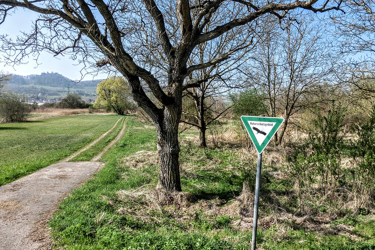 Foto von Ehinger Ried