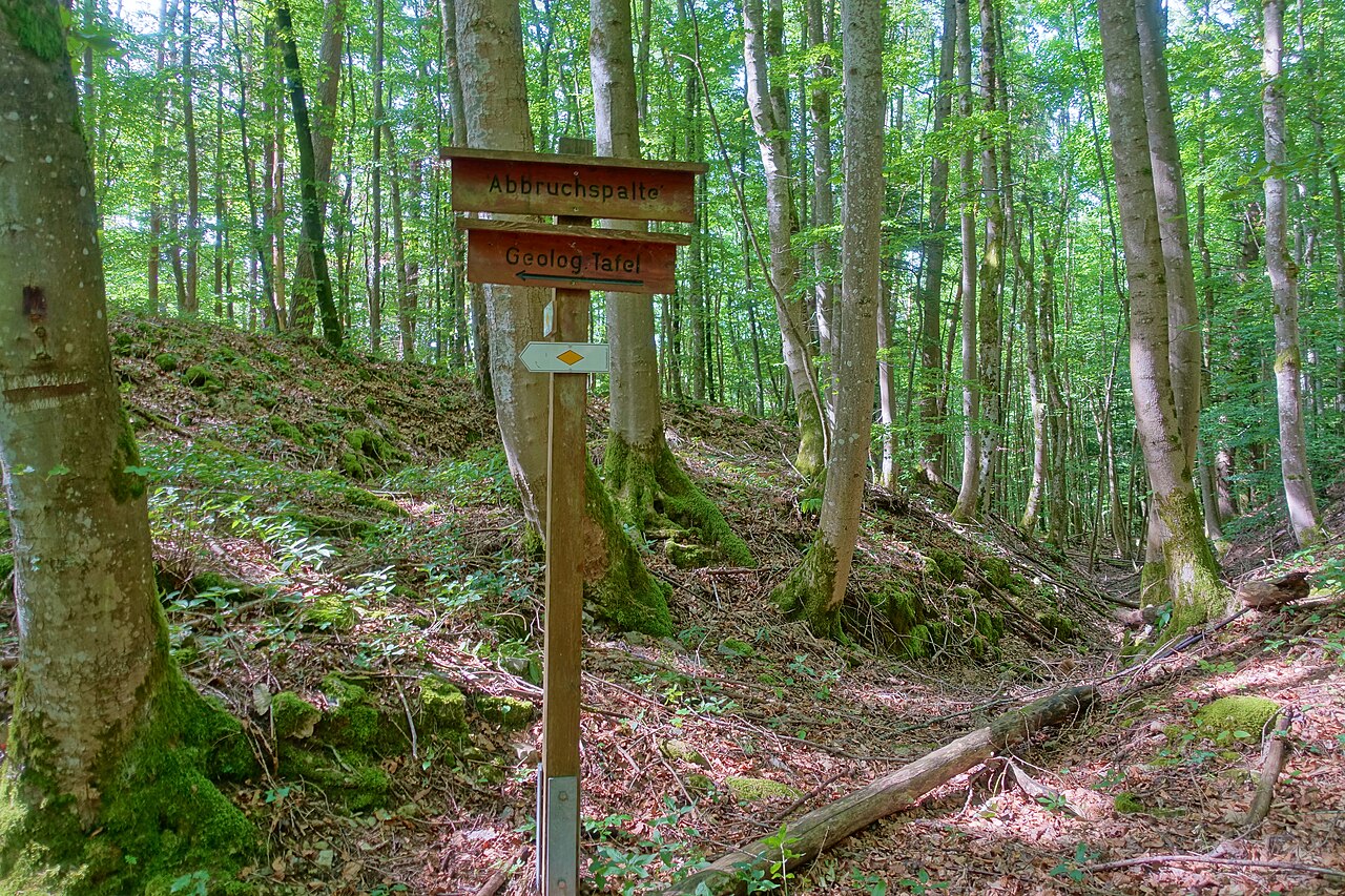 Naturschutzgebiet Eibenkopf