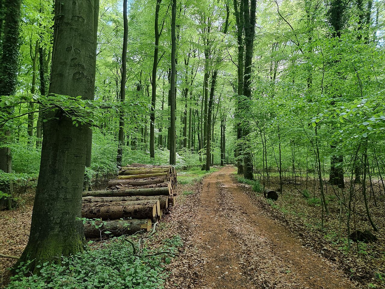 Nature reserve Eich