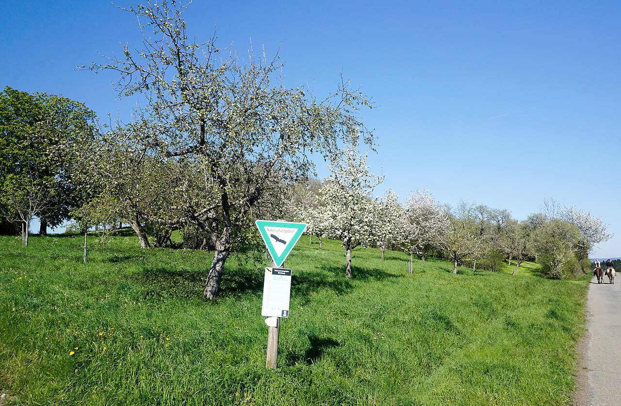Naturschutzgebiet Eichberg, Geislingen-Erlaheim, Schutzgebietsnummer 4