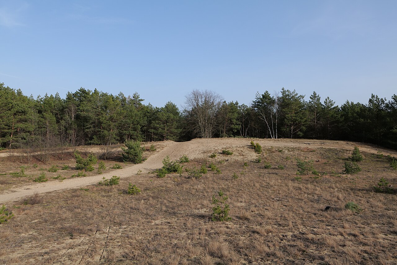 Eichberg im SAC Saarmunder Berg am 24