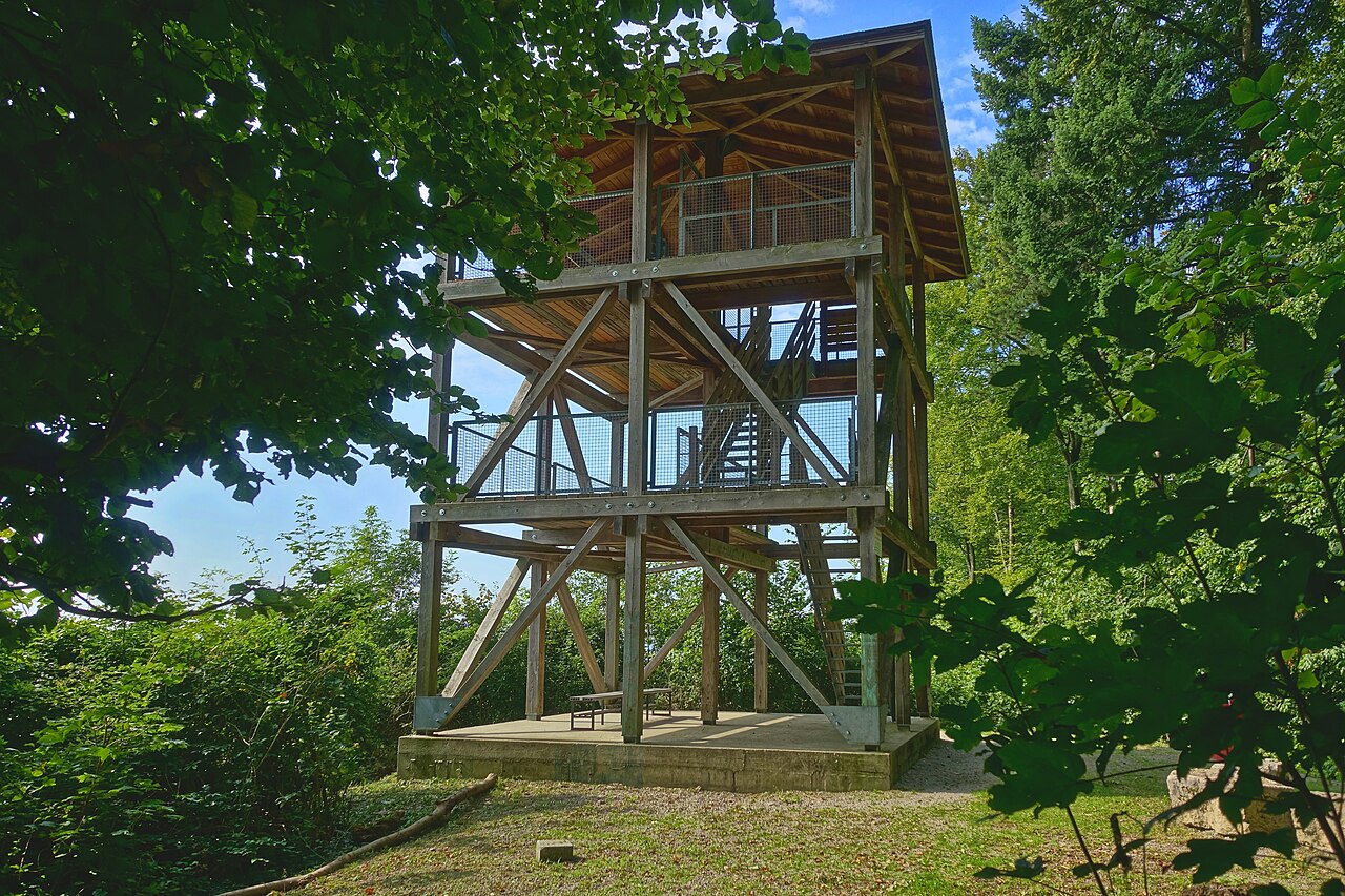 Eigenturm (Aussichtsturm im Hertener Wald)