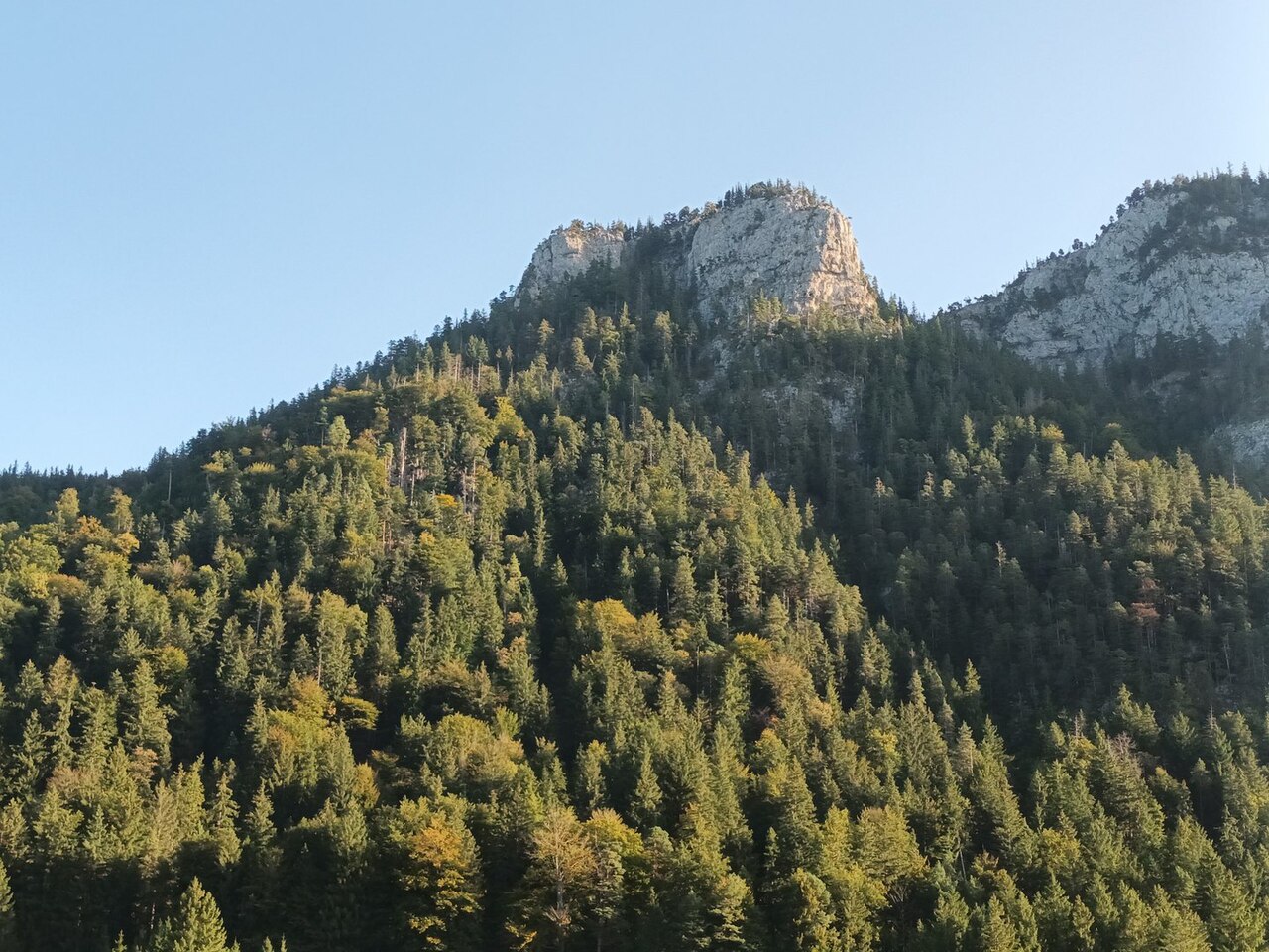 Der Einerkopf (1252m) am Falkensteinkamm an der deutsch-österreichischen Grenze, Ansicht von Süden
