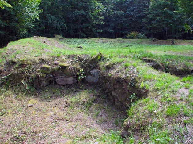 Ruins of the Eiringsburg (Bad Kissingen)
