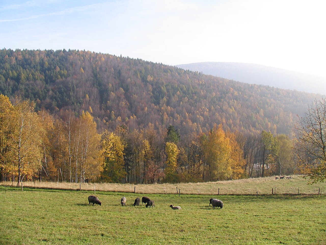 Der Eisenstein (Erzgebirge) bei Aue (Sachsen)