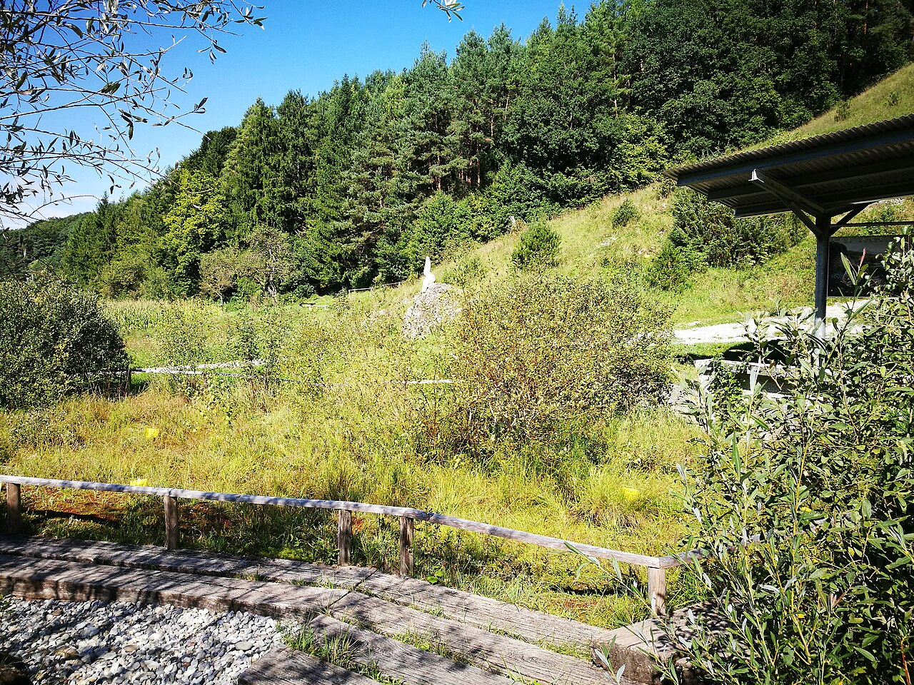 Im Eiszeitpark, ein archäobotanischer Park in der baden-württembergischen Stadt Engen im Landkreis Konstanz