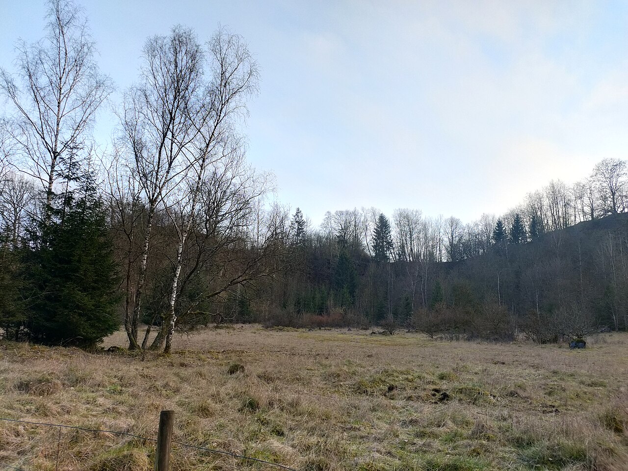 Naturschutzgebiet Elberskamp von Osten