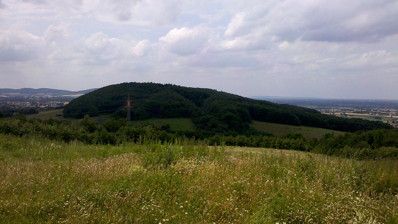 Elfter Kopf im Wiehengebirge an der Wallücke in Hille-Oberlübbe