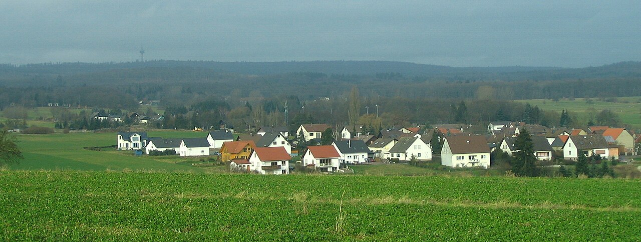 Winterbach und Ellerspring im Soonwald