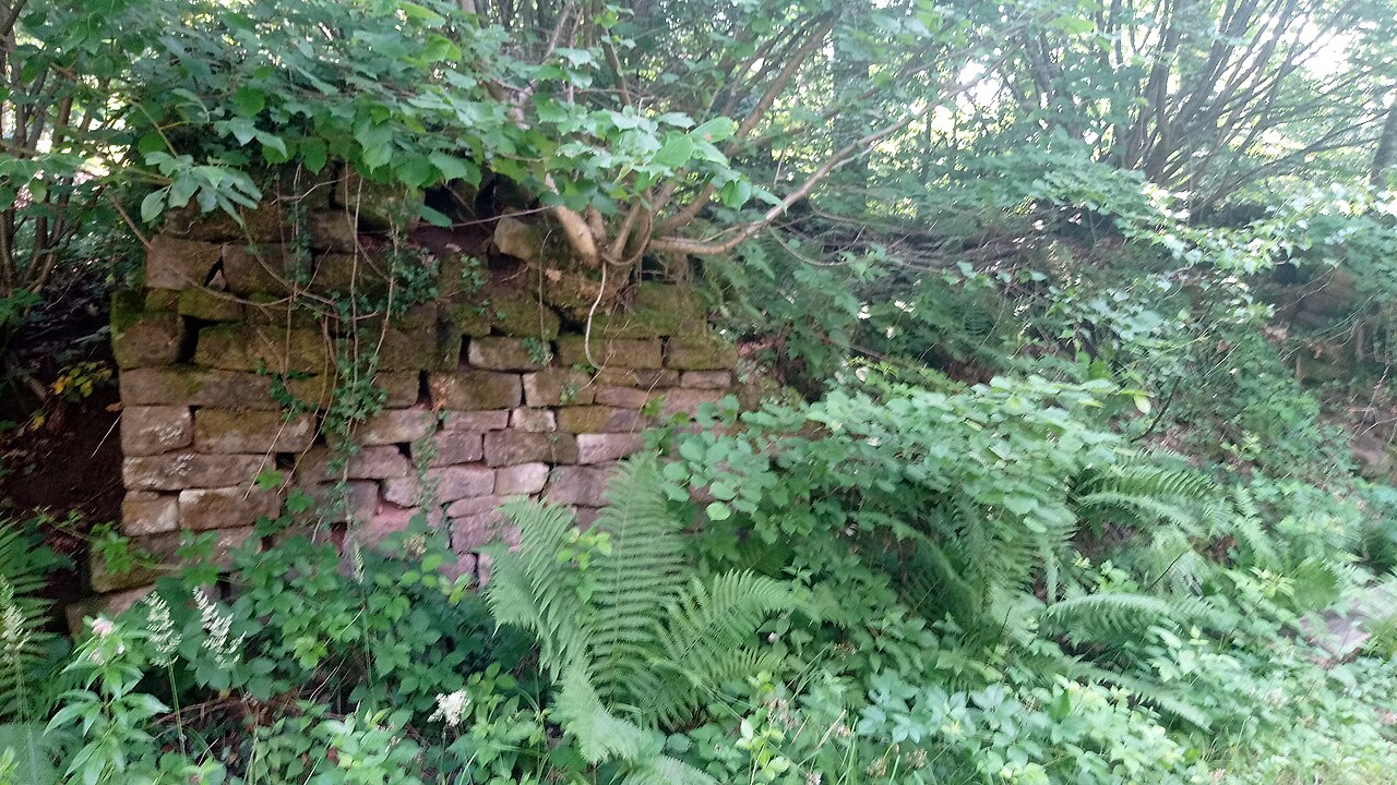 Mauerreste der ehemaligen Emichsburg (Odenwald)