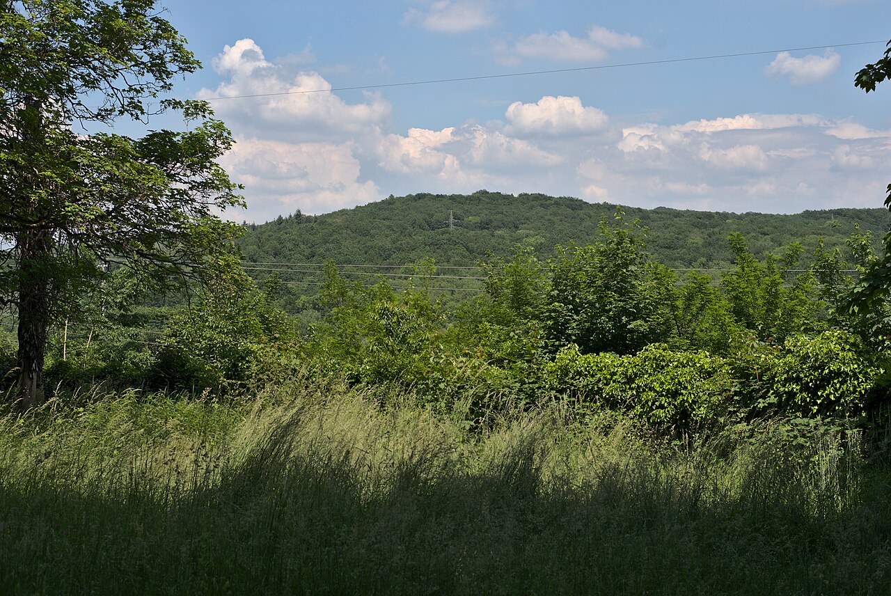 Blick von dem Alten Malstatter Friedhof auf den Emmersberg