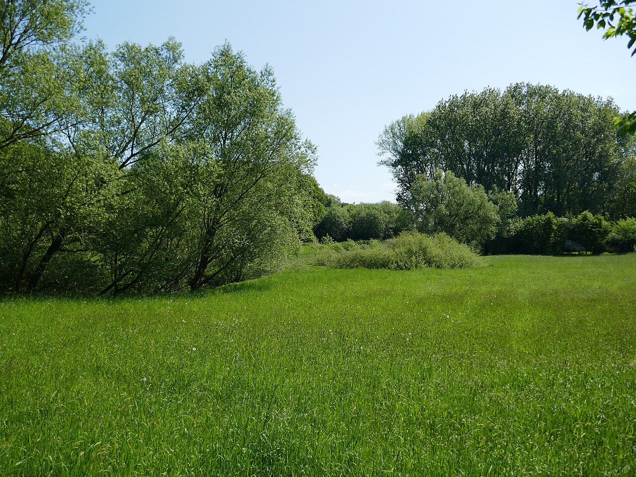 Naturschutzgebiet Emsaue und Mussenbachaue