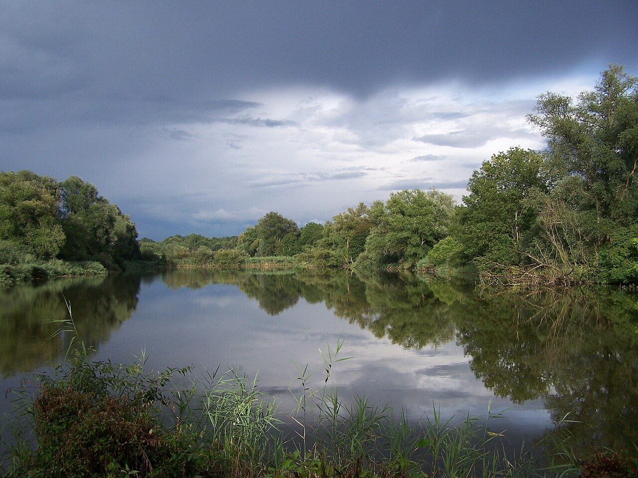 Enkheimer Ried in Frankfurt