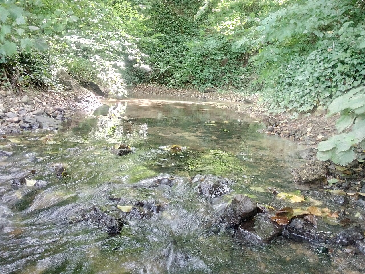 Karstquelle Enzbrunnen an der Salzach im Ruiter Tal, Bretten