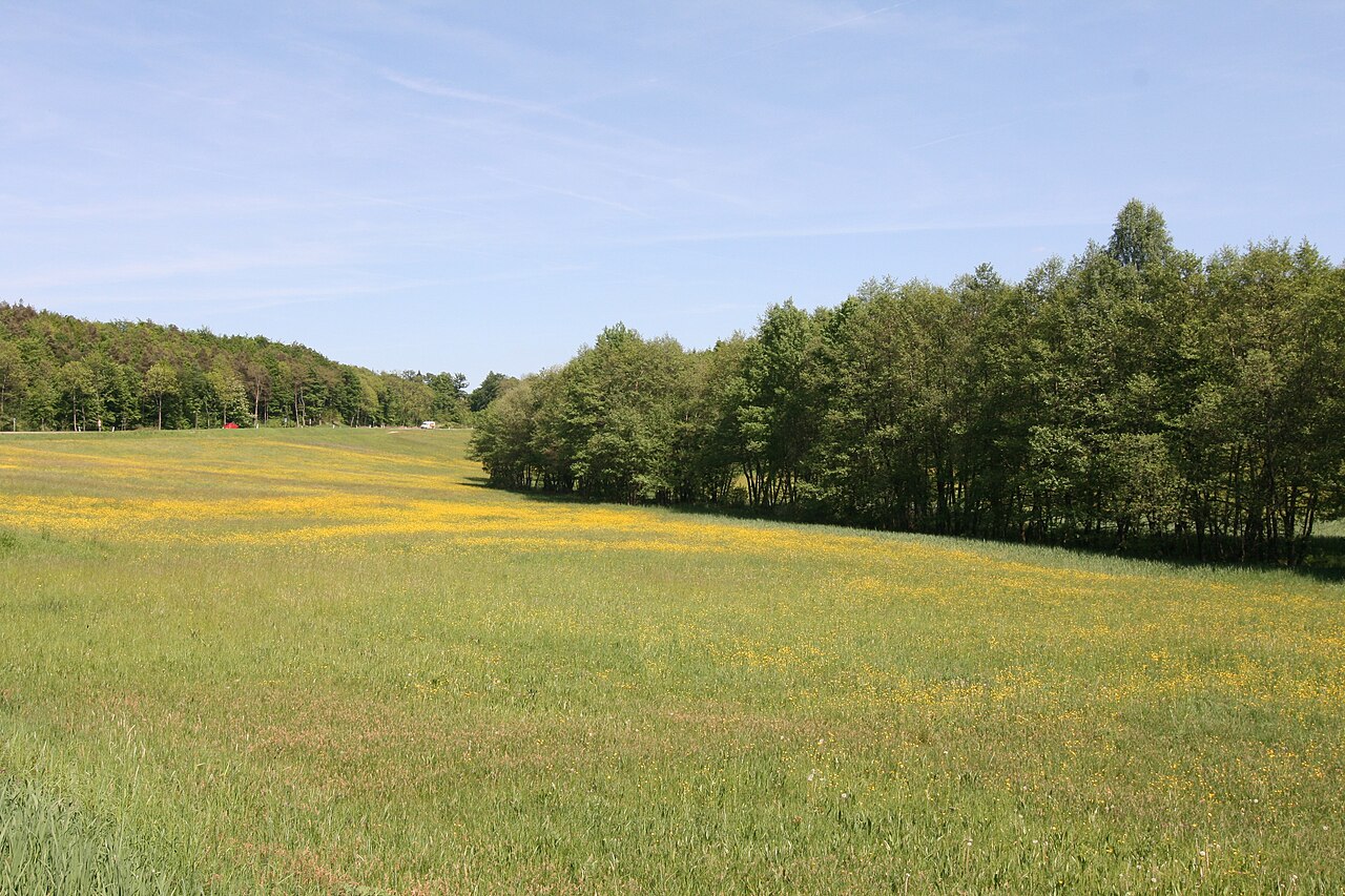 Naturschutzgebiet Enzwiese an der Bundesstraße 39 in Löwenstein