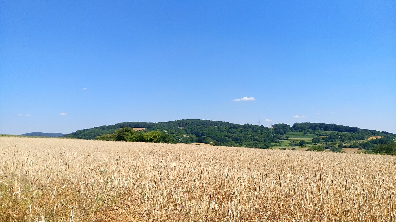 Der Erbig vom Bischberg aus gesehen