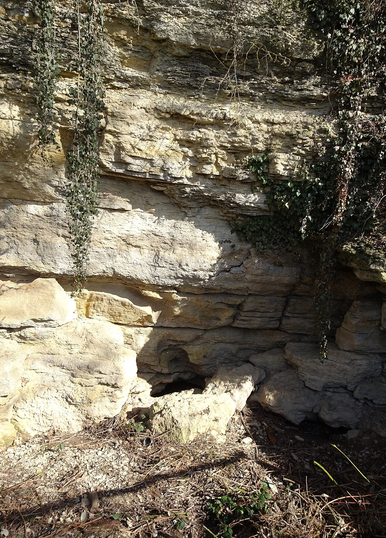Natural monument "Erdbach-Einschlupf" (Erdbachschwinde) in Erbach (Odenwaldkreis, Hesse, Germany)