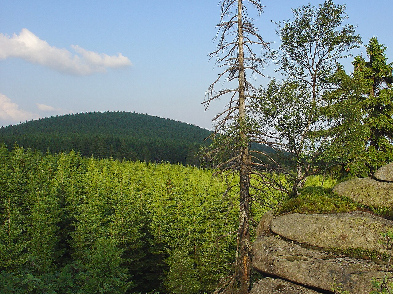 Blick von der Ahrensklint-Klippe zum Erdbeerkopf