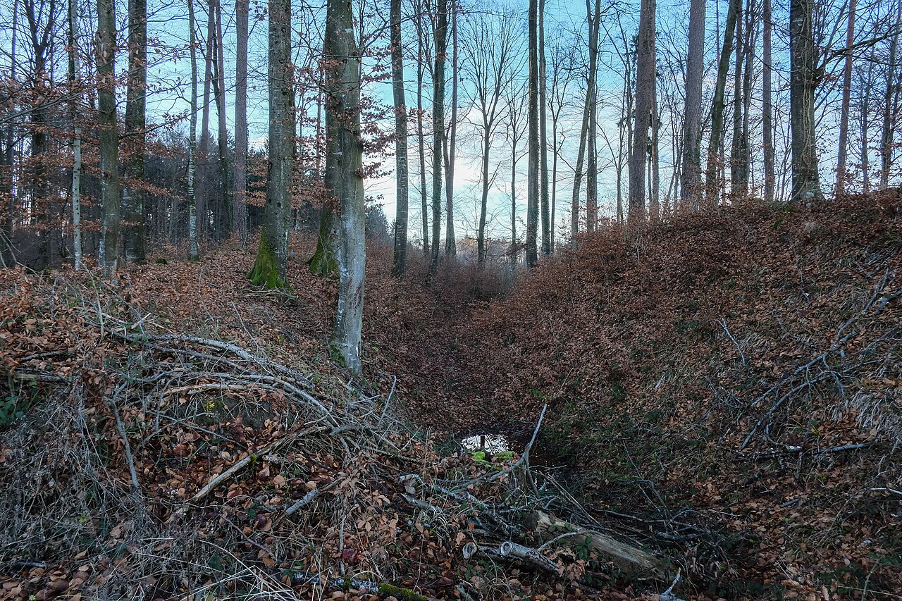 Foto von Erdwälle Burg Schiggendorf