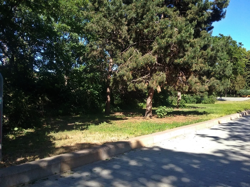 Erich-Weinert-Park in Berlin-Prenzlauer Berg